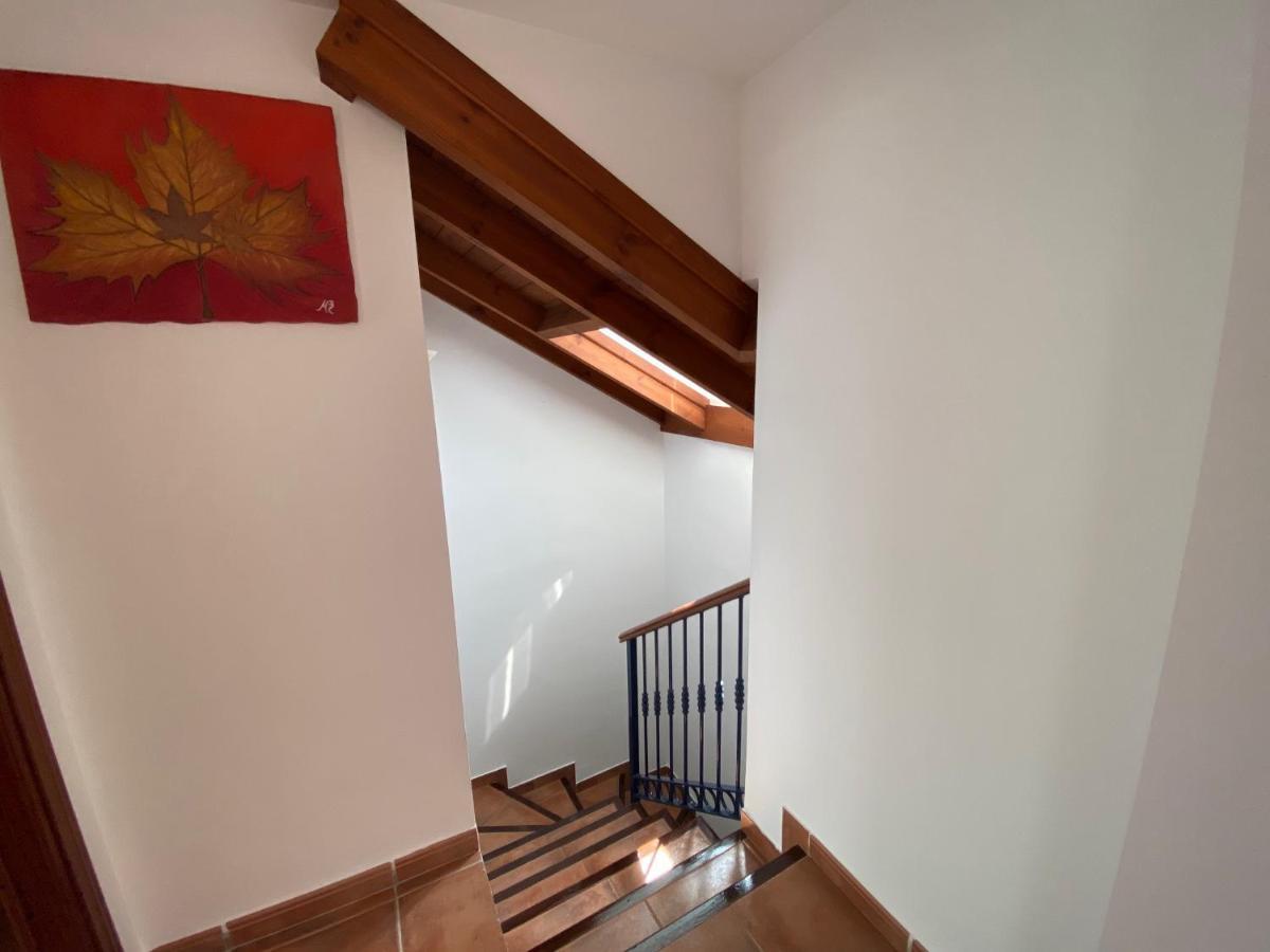 Charming 1 Bedroom Suite With Shared Kitchen Next To Puerto Banus Marbella Eksteriør billede